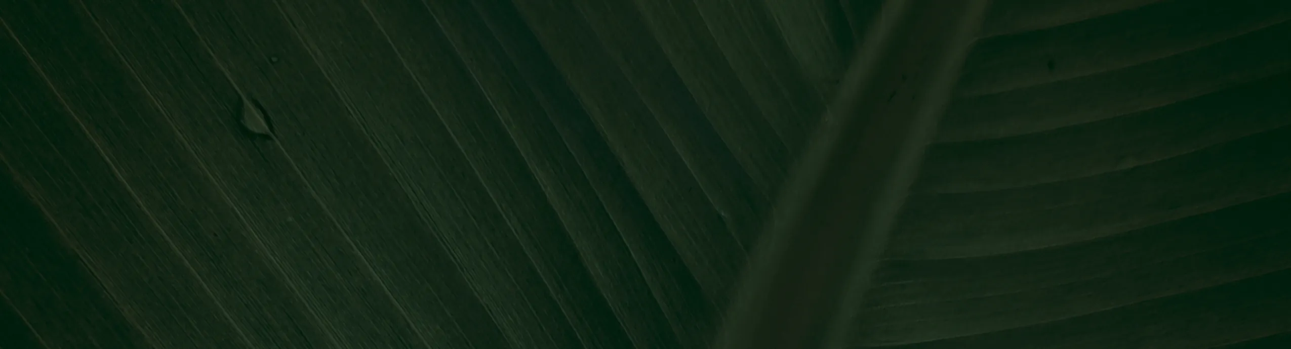 Abalone Haliotid Herpesvirus 1 Virus（HaHV-1) Detection Kit